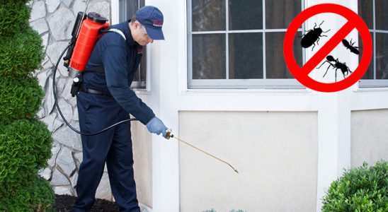 Sivaslı Fare İlaçlama böcek ilaçlama ve haşere kontrolü — ilaclama-tr.com